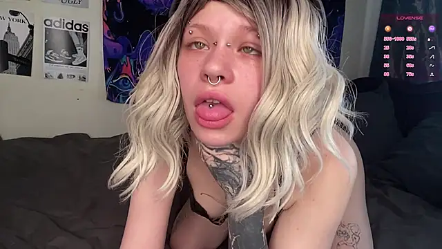 MeowMixer online show from March 30, 10:37 am