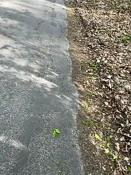 blondie-27 online show from April 22, 4:04 pm