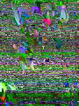 Sukem-mut online show from April 6, 7:09 am