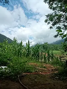 lyly sexx online show from May 31, 3:12 am