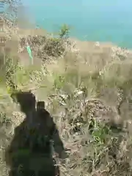 mariaplaya online show from April 8, 9:55 am