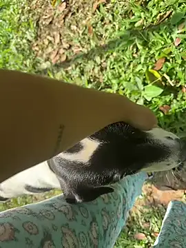 Zoe Luxxe  online show from March 23, 8:26 pm