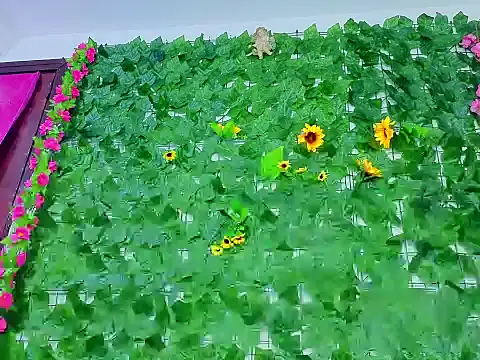 asshoney Abby online show from April 25, 6:05 am