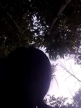 Lanin-i online show from May 13, 11:21 pm