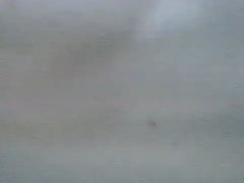 jojoosiwa online show from July 11, 1:55 pm