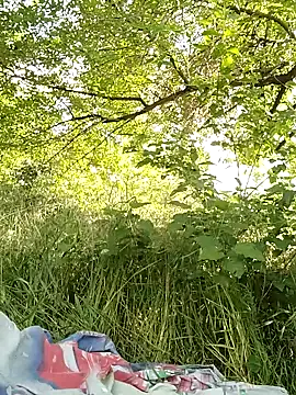 evil kitty online show from June 4, 1:26 pm
