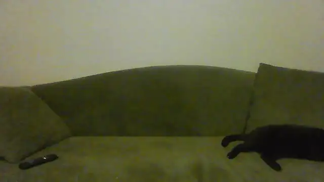 BuddingRose2323 online show from July 23, 2:53 am