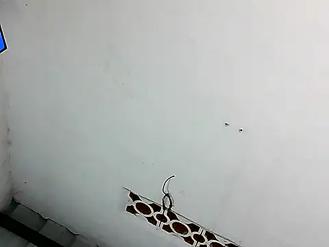 alice morr online show from July 21, 4:46 am