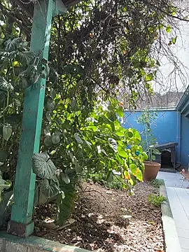 Sofyalone  online show from March 20, 5:18 pm