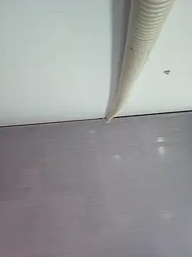 sweet lucia online show from March 11, 9:17 pm