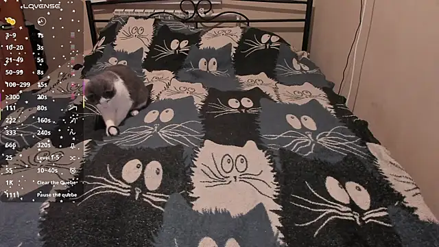 eva zero online show from March 25, 2:20 pm