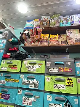 sophie cute66 online show from March 1, 7:35 pm