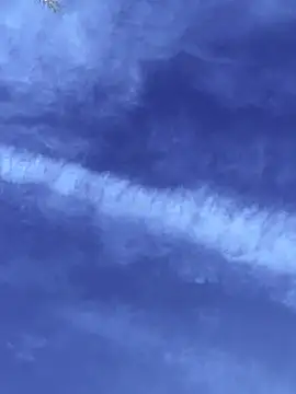 GoldenFlameGoddess online show from March 28, 5:01 pm