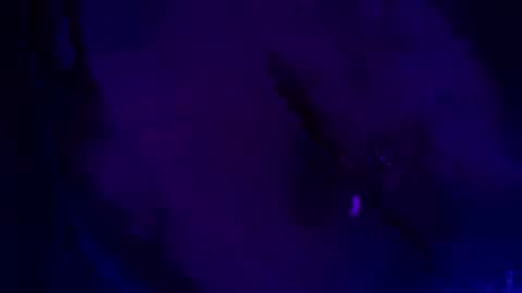 707missme420 online show from November 21, 2:08 pm