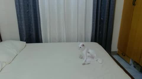 Amber online show from February 3, 5:03 pm