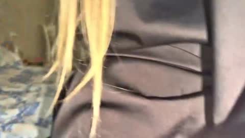 Stella online show from February 11, 6:04 am