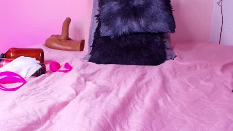 MORGAN CELESTE online show from October 2, 8:03 pm