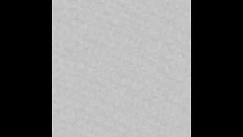  HADLY see u online 0312  online show from November 2, 2:20 pm