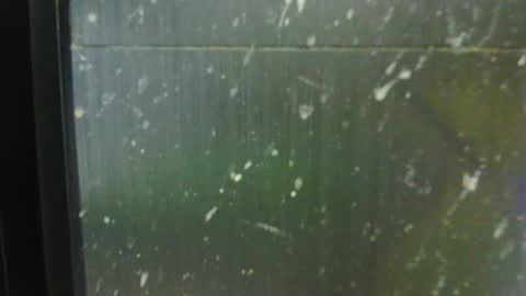 adiraxo online show from October 13, 3:04 pm
