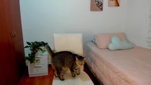 Aitana online show from February 22, 1:33 am