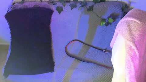 alahia online show from February 9, 2:03 am