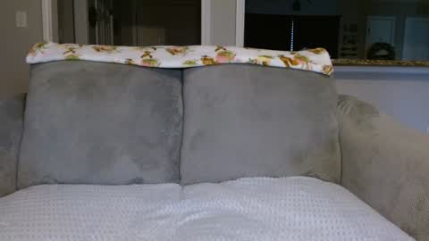 Alanna Rack online show from February 26, 2:16 pm