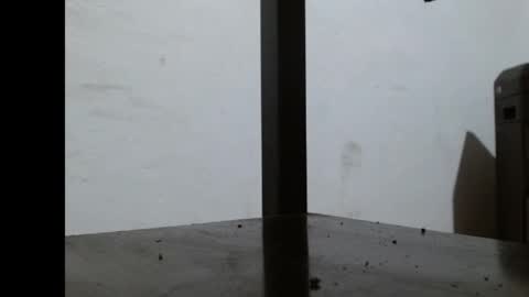 alesxia_sex online show from December 19, 2:48 am