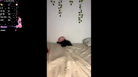 Snapshot of alice_lacroux chatting on February 25, 11:10 am Alice online show from February 25, 11:10 am