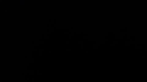 Amarantha online show from January 19, 1:55 pm