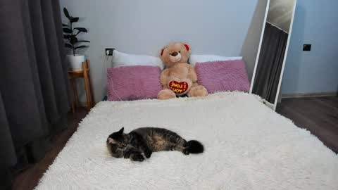 amymilson online show from December 20, 3:21 pm