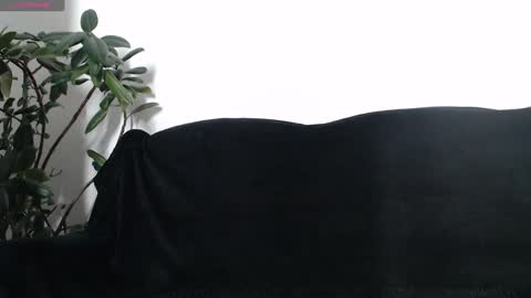 Ana online show from December 4, 12:58 pm