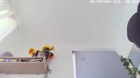 ana  online show from October 31, 1:59 pm