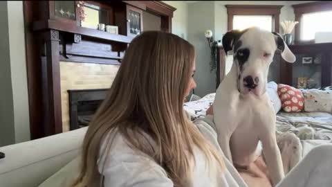 Andrea Elizabeth online show from October 17, 2:31 pm