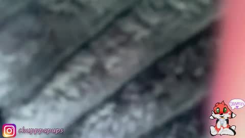 My name is Ena. You will make me very happy if you subscribe. Love you  online show from January 14, 9:25 am