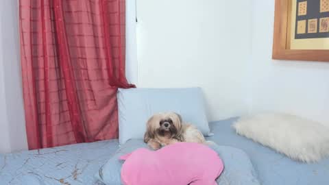 anna online show from November 6, 1:17 pm