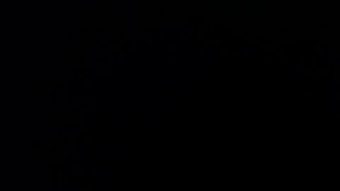 antia_x online show from November 24, 12:01 am