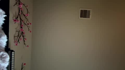 ashley7880 online show from November 3, 4:33 pm