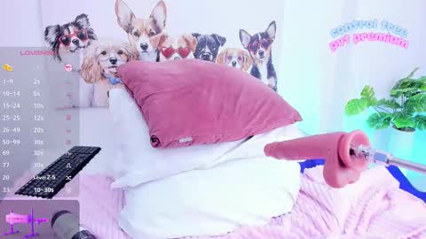 Ashley online show from January 15, 4:02 pm