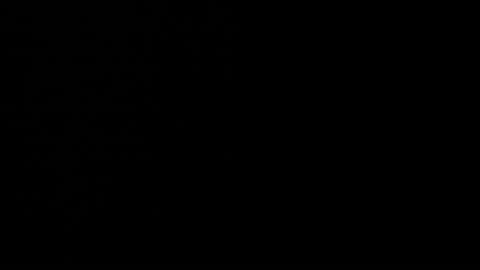 kylie online show from September 9, 2:55 am