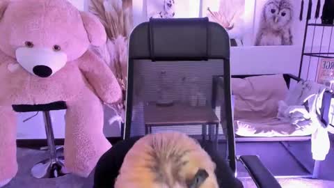 aurorawrenfield online show from December 2, 4:47 am