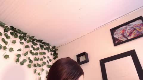 bahianawood online show from December 8, 12:52 pm