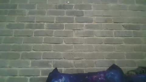 Chaterlain online show from February 9, 1:25 pm