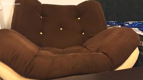 Amy online show from February 26, 2:41 am