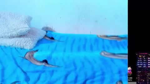 Michelle bbw online show from October 15, 3:53 am