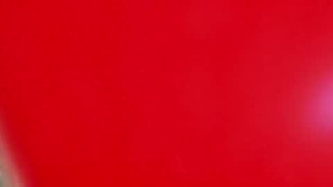 bloom_winxx online show from February 17, 3:17 am