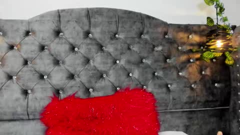 blushhabex2 online show from December 19, 7:39 pm