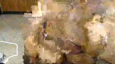 Snapshot of booby_candy chatting on January 13, 4:28 am booby_candy online show from January 13, 4:28 am