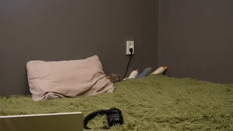 Alice online show from November 26, 4:52 pm