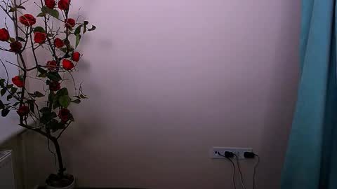 Snapshot of bunnybloom_ chatting on October 21, 4:05 am Ariel online show from October 21, 4:05 am