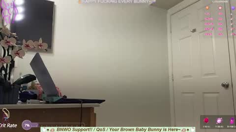 Tokki  bunny  online show from February 24, 1:00 am